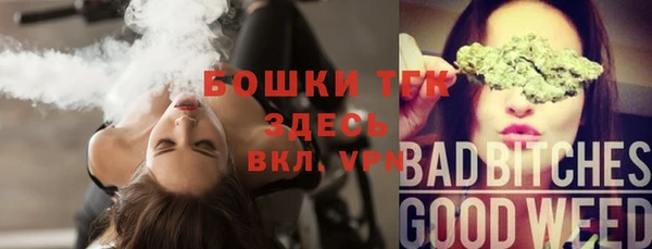 сатива Алексин