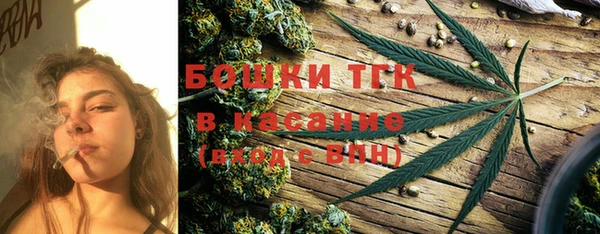 сатива Михайловка