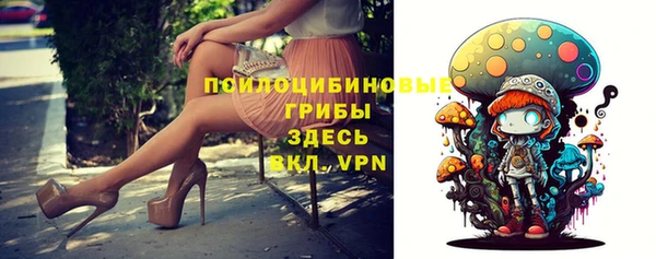 PSILOCYBIN Абинск